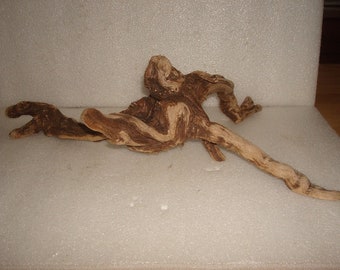 Very Unique Gnarly Natural Freshwater Driftwood Root / Terrarium Driftwood / Driftwood Art 17 1/4" Long