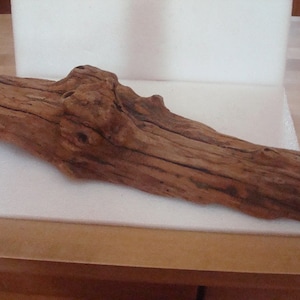 Unique Gnarly Large Freshwater Driftwood Piece Reptile / Terrarium 22 1/2&quot; Long