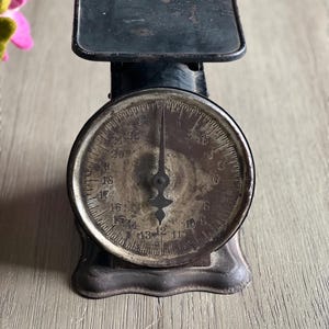 Vintage Triner Utility Steel Scale Capacity 24 Lbs Made in Chicago USA Postal Weigh Scale Farm Barn Kitchen Decor Collectible