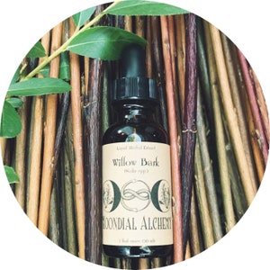 Willow Bark Tincture (Salix spp.) Herbal Extract