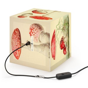 Amanita Muscaria Light Cube Lamp Fly Agaric Gift Decor image 2