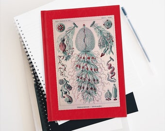 Deep Sea Witch Journal Jellyfish Siphonophorae Vintage Illustration