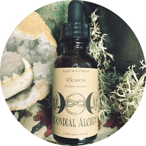 Cleavers Tincture (Galium aparine) Herbal Extract