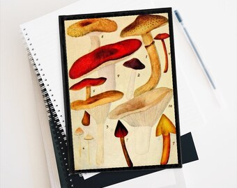 Vintage Mushroom Illustration Journal - Unlined  Sketchbook