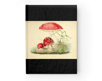 Amanita Muscaria Illustration Journal Fly Agaric