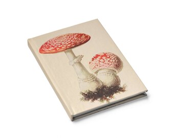 Fly Agaric Amanita Magic Mushroom Journal // Sketchbook // Herb Book