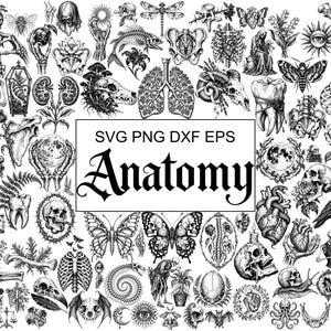 May include: A collection of black and white illustrations featuring anatomical elements, skulls, insects, flora, and skeletal structures. The central text box displays the words SVG PNG DXF EPS Anatomy in a bold, black, gothic-style font.