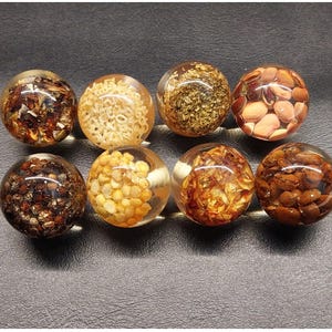 Lot of 8 Vintage Suspended Seeds Herbs Beans Lucite Drawer Pull Cabinet Knobs