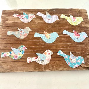 Colorful and cute tiny bird cut outs