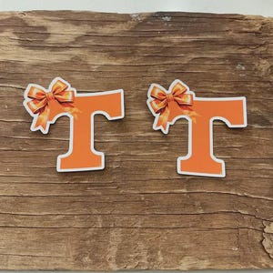 University of Tennessee orange and white gingham banner garland party decor. Officially licensed image 5