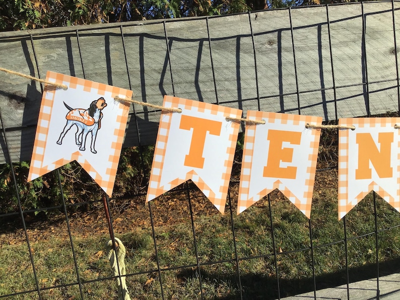 May include: A decorative banner featuring pennant-shaped flags strung on twine. Each flag has an orange and white checkered border. The first flag displays a cartoon dog wearing a vest labeled SMOKEY, followed by flags with the orange letters T, E, and N.