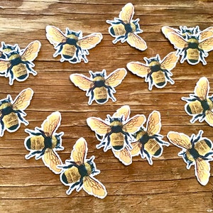 Bee die cuts cut outs 24