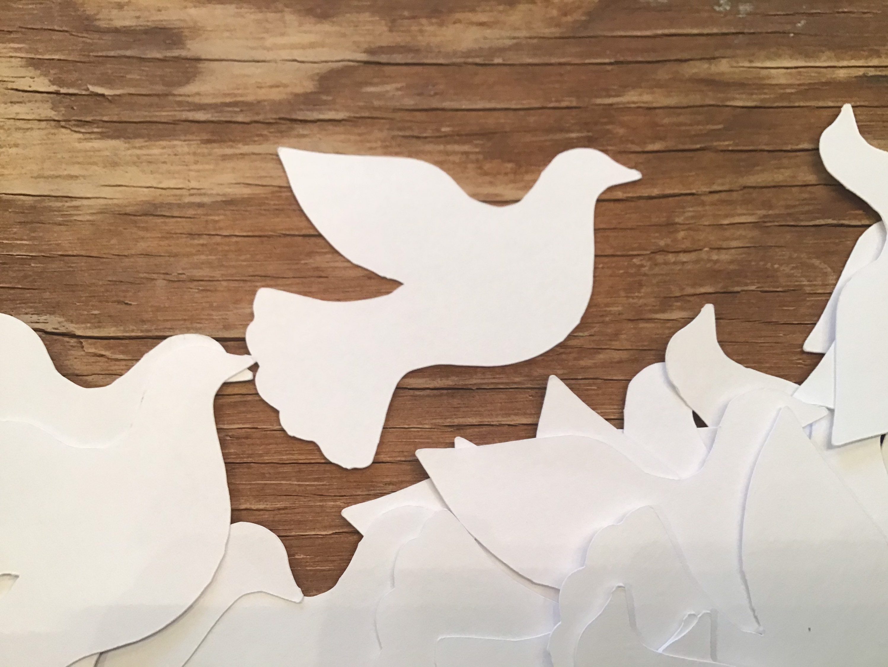 White Dove Die Cuts Cut Outs Etsy