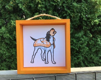 University of Tennessee Volunteers Smokey football helmet signs. Officially licensed