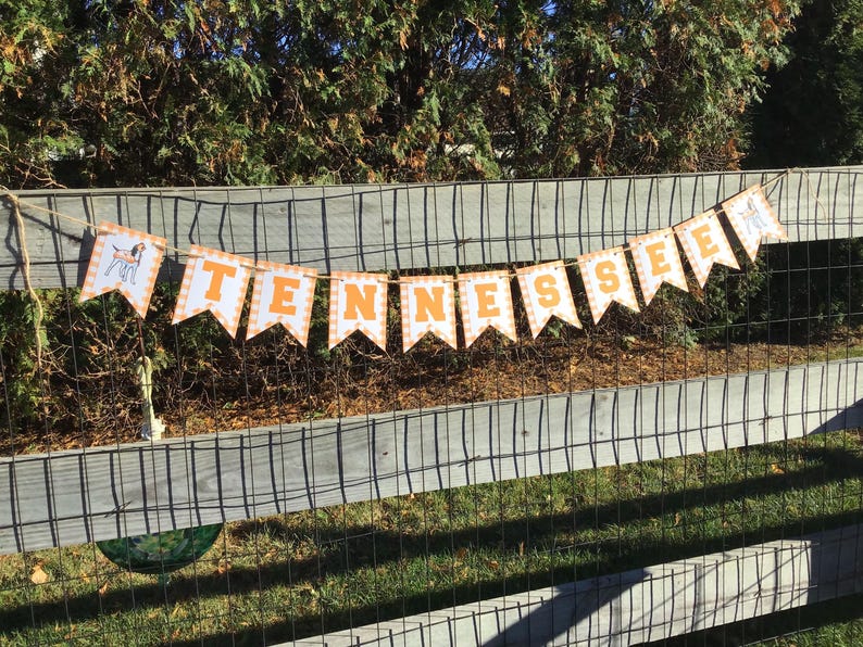 May include: A decorative banner featuring triangular pennants strung on twine. Each pennant displays a white and orange checkered border with a bold orange letter spelling TENNESSEE, plus a pennant with a brown and white dog illustration.
