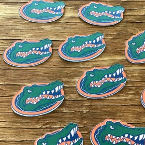 University of Florida gator confetti. Officially licensed
