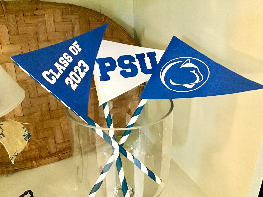 penn-state-graduation-pennants-flags-props-etsy