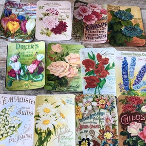 May include: Vintage seed packets featuring colorful illustrations of flowers, including a pink rose, red poppies, blue delphiniums, and white daisies. The packets are from various seed companies, including Childs, Dreer's, and John Lewis Childs.