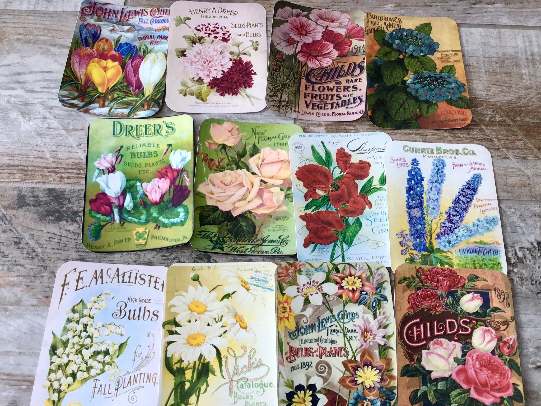 Assorted Set of 20 Floral Seed Catalog Planner Cards Die Cuts - Etsy