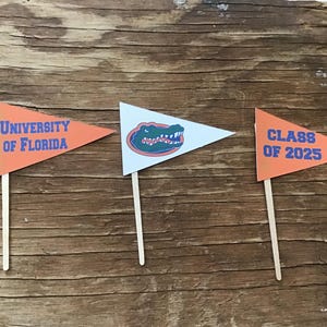 University of Florida Gators cupcake toppers. Officially licensed