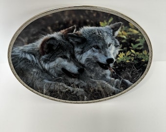 Bradford Exchange Sharing Wolf Plate Jim Dutcher Tender Moments 1998 COA