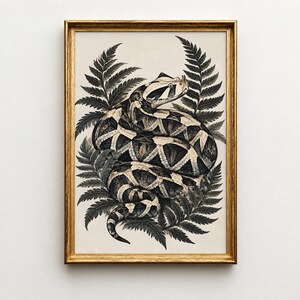 Può includere: Una stampa artistica da parete incorniciata che presenta un'illustrazione dettagliata in bianco e nero di una vipera avvolta circondata da foglie di felce. L'opera è racchiusa in una sottile cornice rettangolare color oro metallizzato.