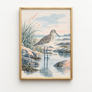 May include: A framed wall art print featuring a watercolor illustration of a sandpiper standing in shallow water among rocks and tall beach grasses. The scene depicts a coastal landscape with a soft sky, muted blue water, and textured stone elements.