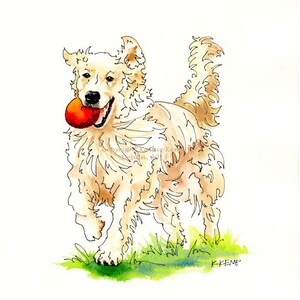 May include: A watercolor painting of a golden retriever dog running with a red ball in its mouth. The dog is depicted in a playful pose with its tongue sticking out. The background is a light green color, suggesting grass.
