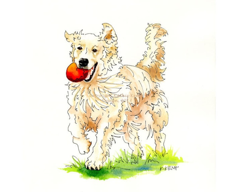 May include: A watercolor painting of a golden retriever dog running with a red ball in its mouth. The dog is depicted in a playful pose with its tongue sticking out. The background is a light green color, suggesting grass.