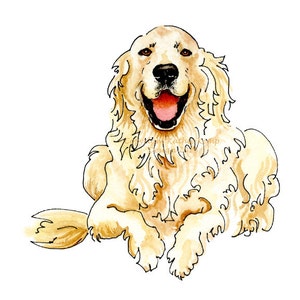 Anglais Crème Golden Retriever Happy Mignon Pet Portrait Idée Cadeau Hommes Amoureux Des Chiens Dessin Stylo & Encre Aquarelle Ange Mémorial Ivoire Bleu Or