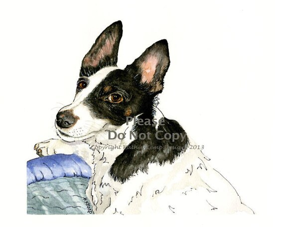 Chien Dessins Portraits Plume Et Encre Aquarelle Fox Terrier Races Tous Les Amoureux Des Chiens Idée Cadeau Pet Memorial Chat Portraits Oiseaux