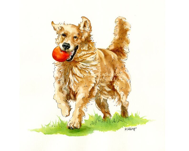 May include: Watercolor painting of a golden retriever running with a red ball in its mouth. The dog is depicted in a playful pose with its tongue sticking out. The background is a simple white.