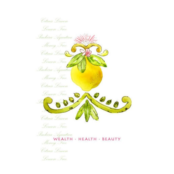 Greeting Note Cards Gift Idea for Friends Mother Wealth Health Beauty Watercolor Botanical Lemon, Money Tree , yellow, pink, olive green