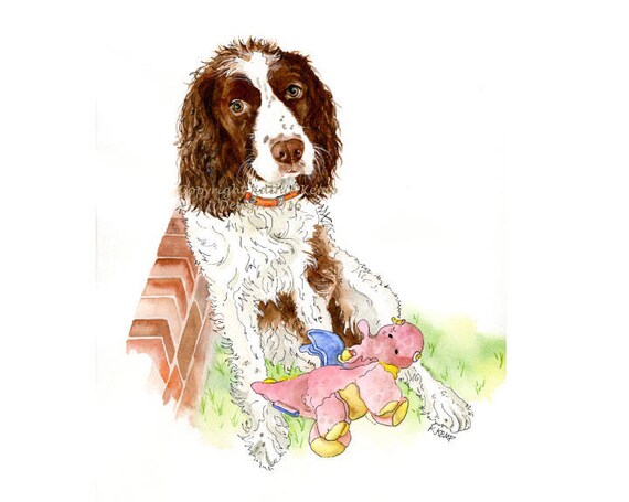 Epagneul Breton Chien Dessins Portraits Au Stylo Et Encre Aquarelle Chasse Chiens Cadeau Idée Dog Lovers Memorial Animal Chat Portraits Oiseaux
