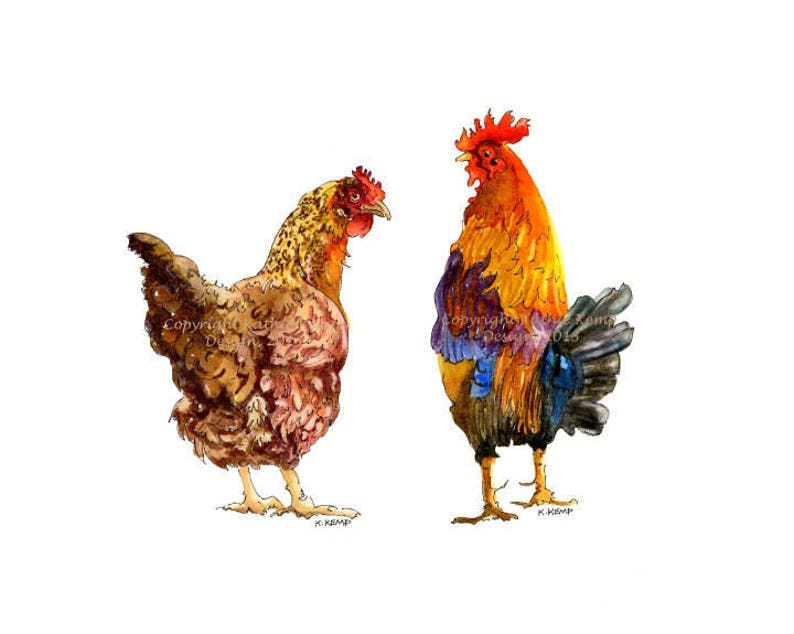 Coq fait son gicler