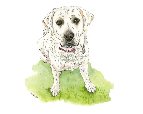 Niestandardowe Pies Rysunki Portrety Pióro I Atrament Akwarela Corgi Beagle Myśliwskie Psy Prezent Pomysł Miłośników Psów Pieścić Pamiątkowy Kot