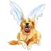 see more listings in the Dogs Cats Birds Animals section