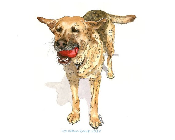 Niestandardowe Pies Rysunki Portrety Pióro I Farba Akwarela Owczarek Niemiecki Goldendoodle Mix Prezent Pies Portrety Pomysł Pamiątki Kot Zwierzę