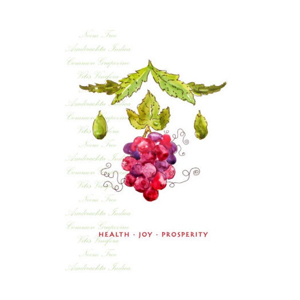 Wine Grapes Note Cards  Wealth Joy Mothers Day Friendship Congratulations Encouragement Uplifting Health Joy Prosperity Red Green Purple