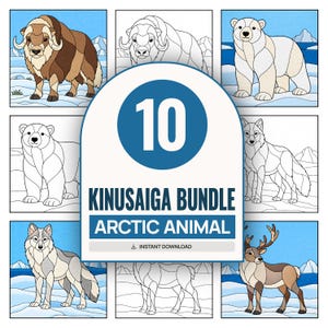 May include: A digital bundle of 10 Kinusaiga Arctic animal patterns featuring colored and line art illustrations of a muskox, polar bear, wolf, and reindeer set against snowy landscapes with the text 10 KINUSAIGA BUNDLE ARCTIC ANIMAL.