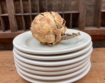 Vintage Ironstone Small Plates: Restaurant Every Day China, Farmhouse Kitchen Decor