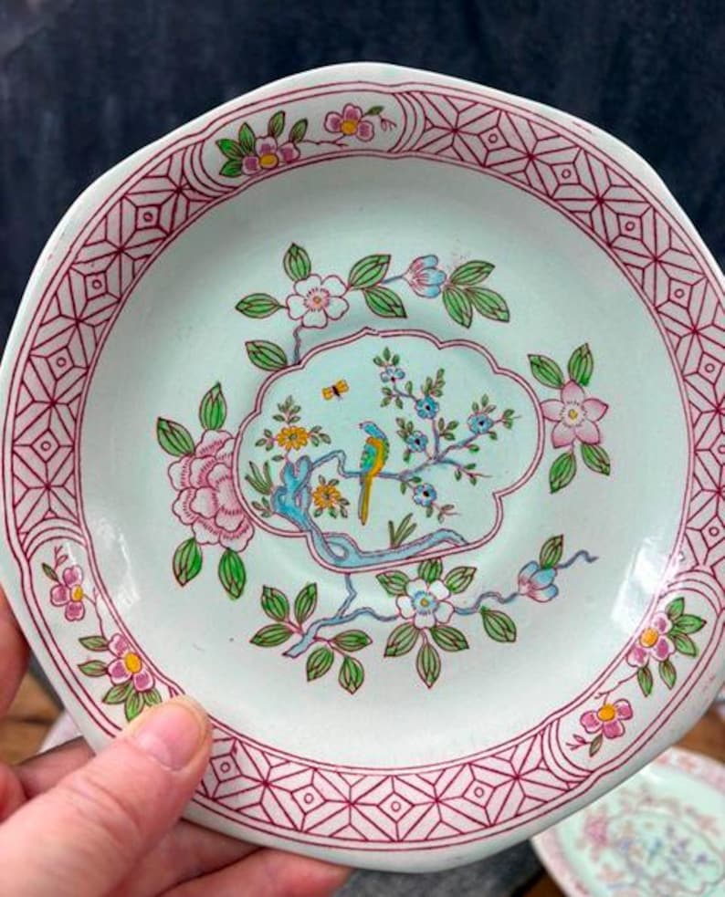 Calyx Ware Adams Singapore Bird English Ironstone Saucers Pink and ...