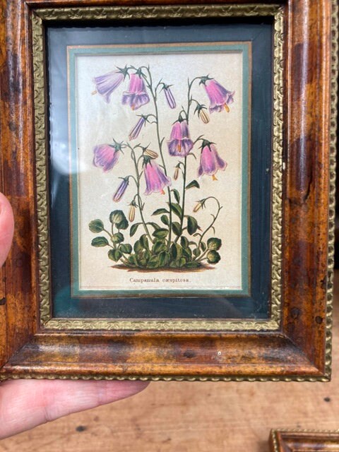 H Hal Kramer Chicago Antiqued Collection Miniature Botanical