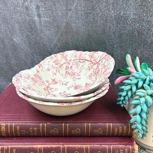 Johnson Brothers Old Bradbury - Etsy