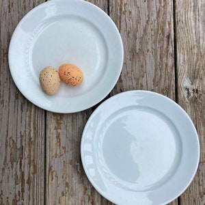 White Ironstone Plates J & G Meakin Set of 2 Vintage Antique Farmhouse Kitchen Decor Hanley England Ironstone China