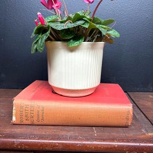 May include: A potted cyclamen plant with vibrant pink flowers and green leaves sits atop a vintage red book. The cream-colored pot has vertical ribbed detailing. The book's title is partially visible.