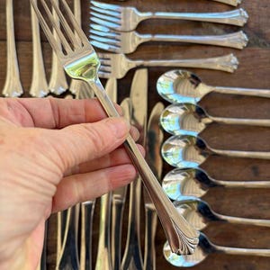 Vintage Pfaltzgraff Ashcroft Stainless Flatware Discontinued Pattern Vintage Silverware Set 31 Pieces Incomplete Set FREE SHIPPING