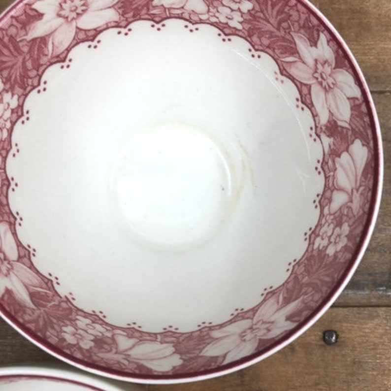 Red Transferware Tea Cups 9 Colonial Wood /& Sons Burslem England Antique Vintage Teacup Display