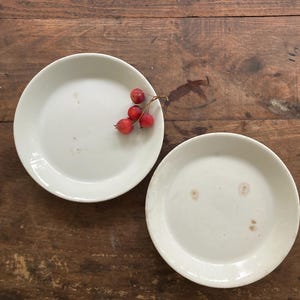 Simple Antique White Ironstone Plates Mellor & Co Distressed Stained Shabby Chic Farmhouse Decor French Country Vintage White Kitchen Decor