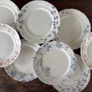 May include: A collection of white ceramic plates with floral patterns. Some plates feature blue floral designs, while others have pink and brown floral accents. The plates have scalloped edges and are arranged on a dark wooden surface.